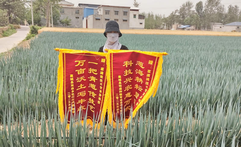 河南襄城贈孫維怡錦旗