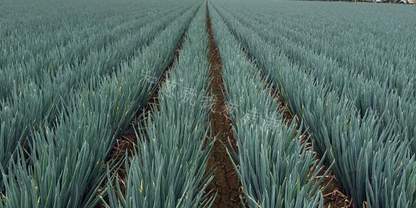 蔥滿滿技術團隊前往內蒙地區進行線下調研第一站：承德