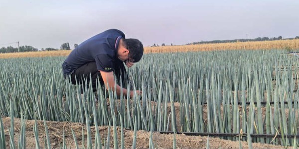 余建華：蔥地里的守望者