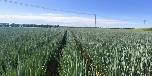 蔥滿滿技術團隊內蒙古之行：第三站遼寧