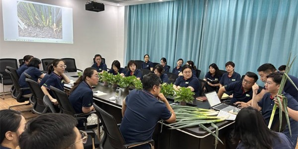 蔥滿滿技術團隊線下走訪交流會