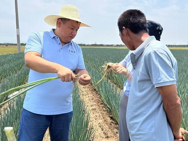 腳下有泥  心中有光 4