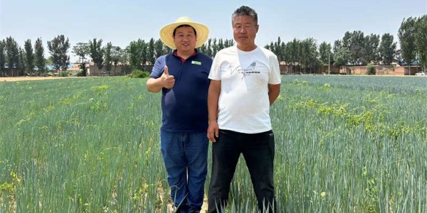 李高朝：與蔥友共譜大蔥豐收新篇章