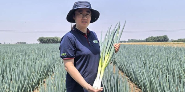 李亞杰：視科學種蔥為信仰, 敬業之人步步生花