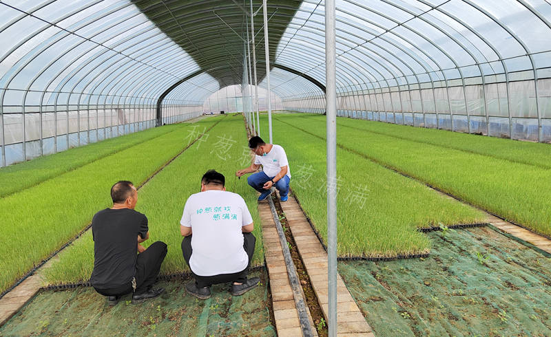 蔥滿滿線下調研