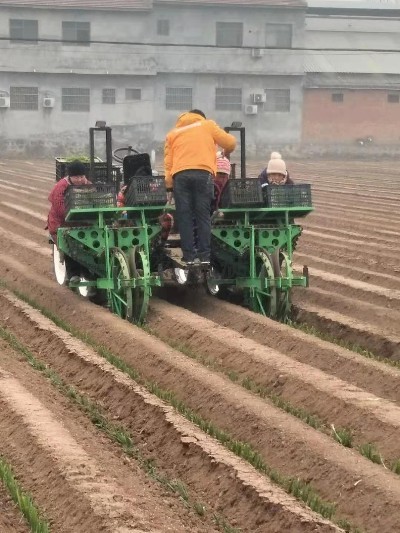 求購大蔥移栽機