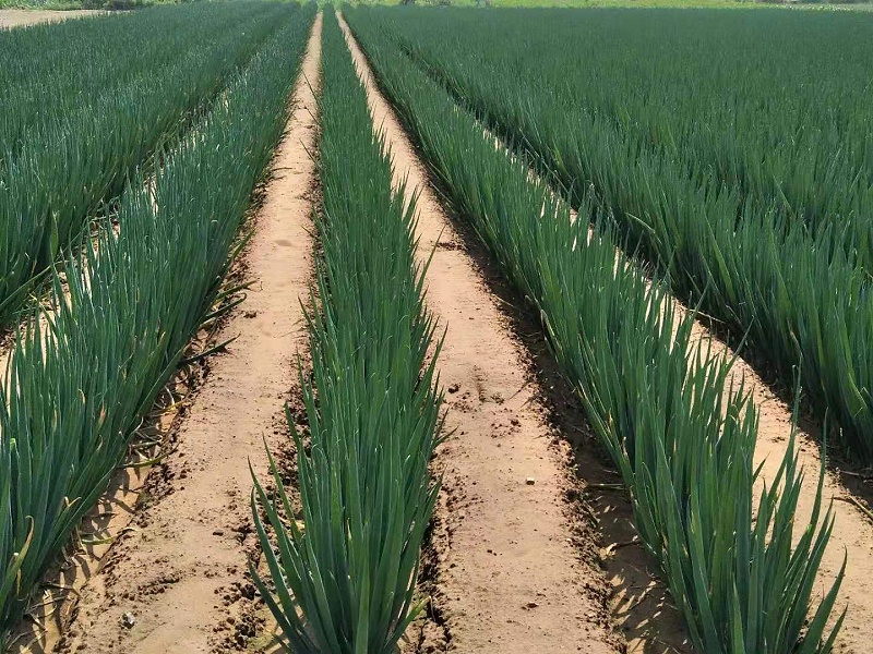 微信圖片_20210227151859